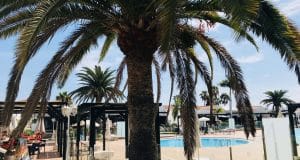 Bungalow in vendita a campo internacional zona maspalomas per affitto breve a turisti in gran canaria