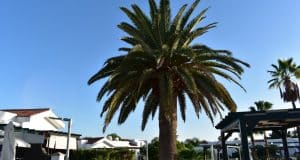 Bungalow in vendita a campo internacional zona maspalomas per affitto breve a turisti in gran canaria